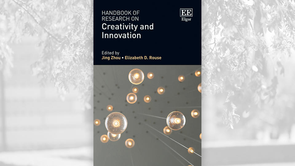 Handbook of Research on Creativity and Innovation