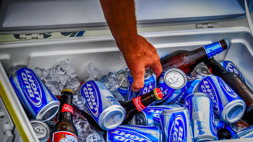 Cans and bottles of Budweiser Light in an cooler box